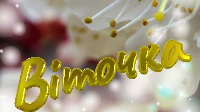 З днем народження віта